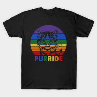 Pride Cat Gay LGBTQ Rainbow Flag T-Shirt